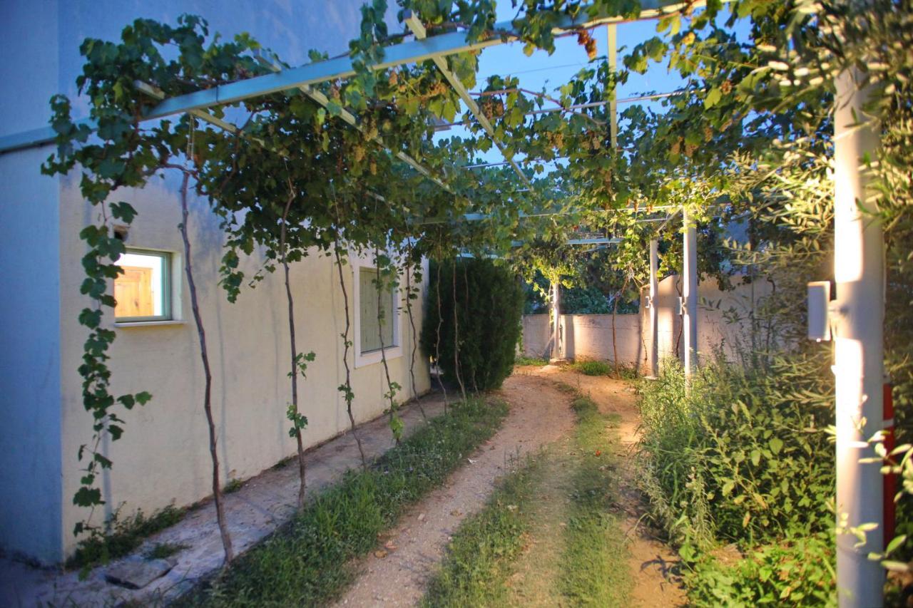 Pansion Prodromina Otel Skopelos Dış mekan fotoğraf