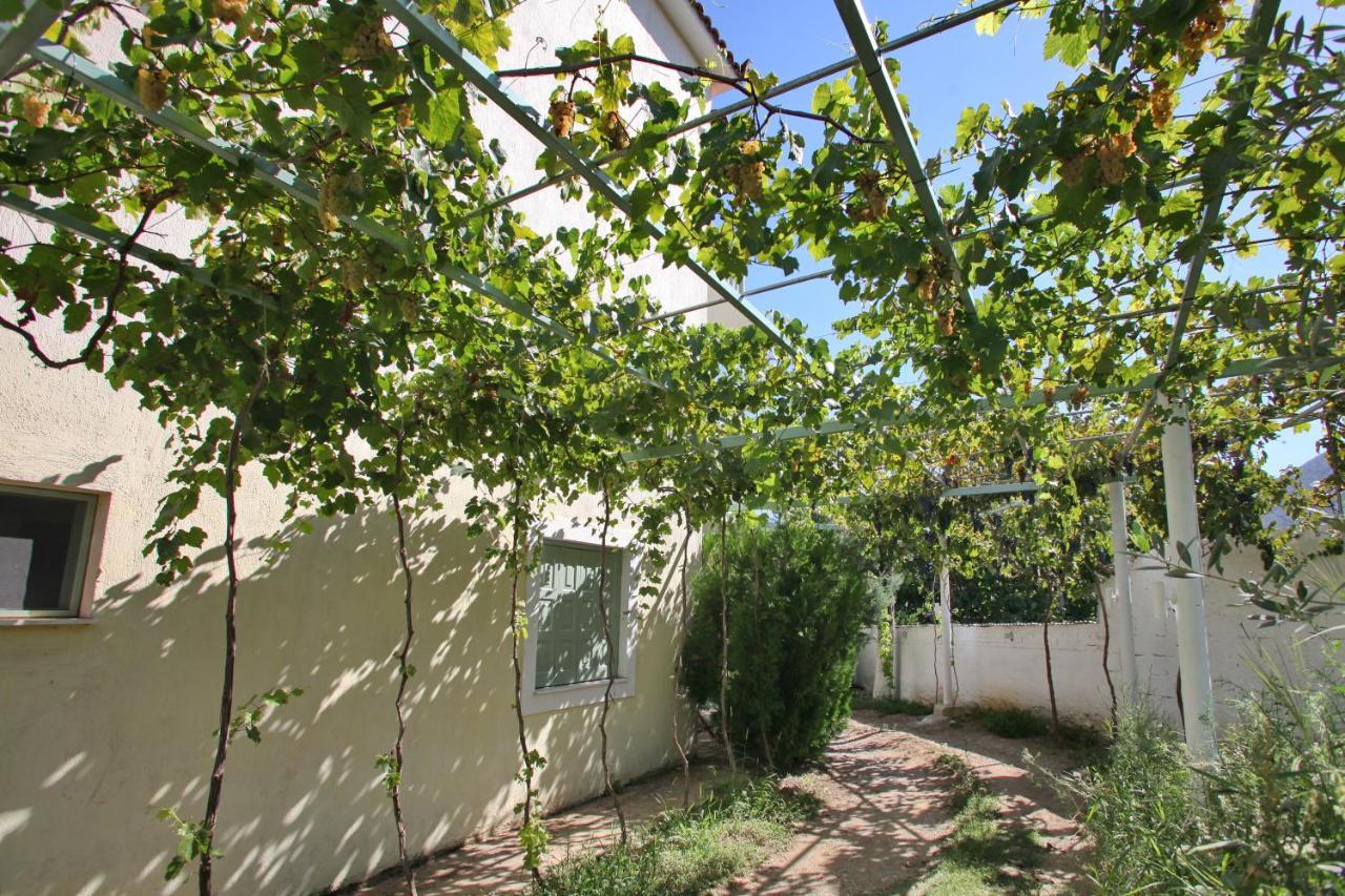 Pansion Prodromina Otel Skopelos Dış mekan fotoğraf